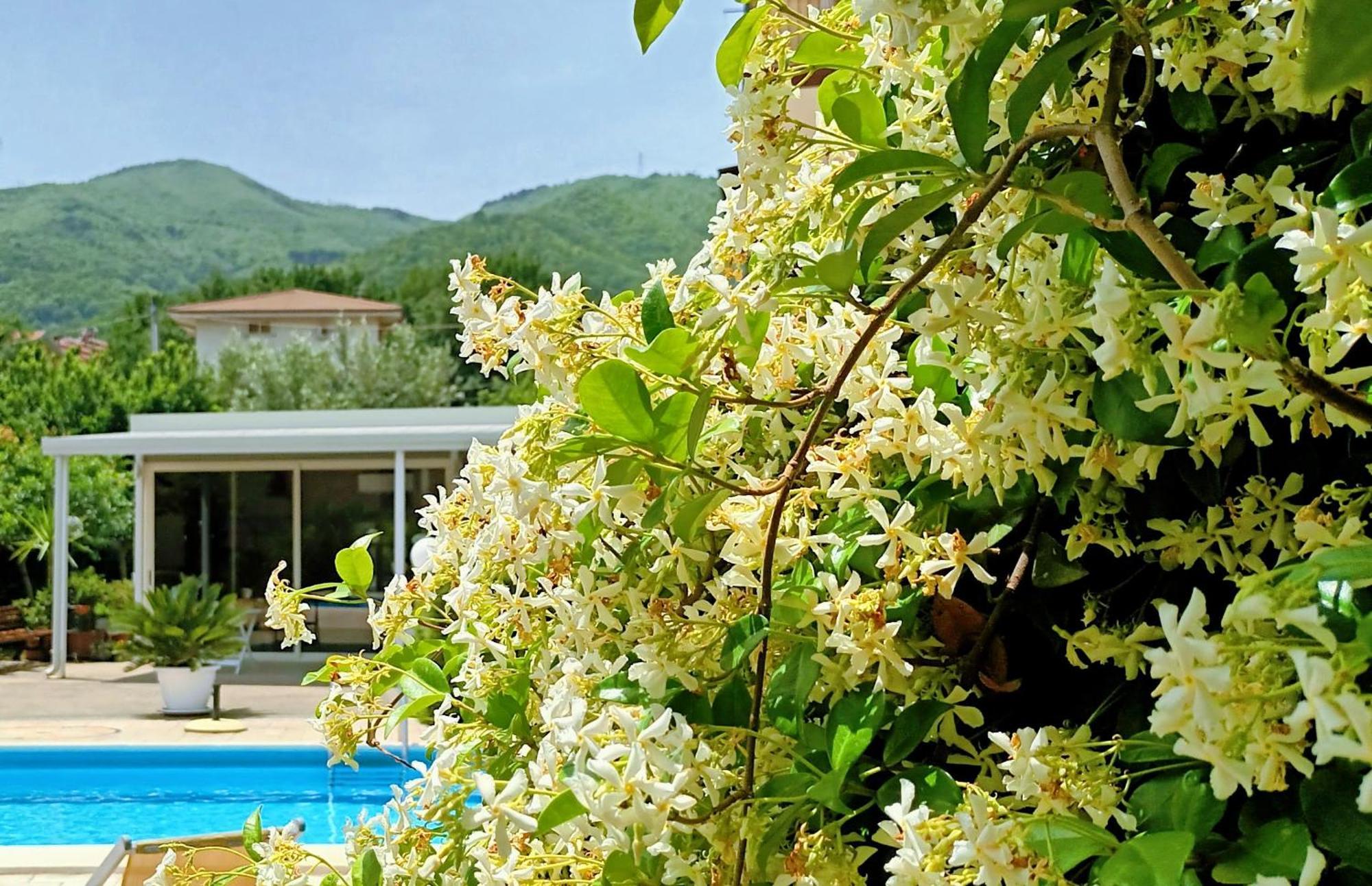 La Residenza del Marchesato Marano Marchesato Exterior foto